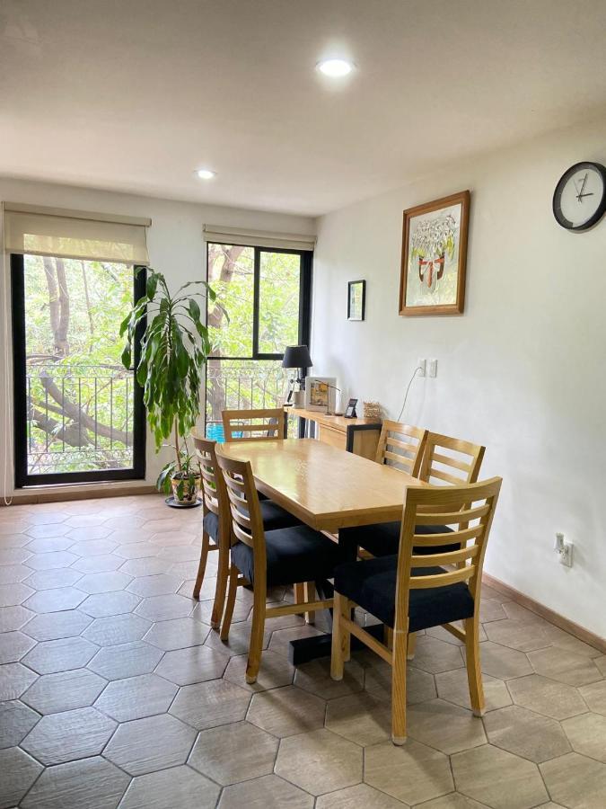 Apartment With Terrace Down Town Μεξικό Εξωτερικό φωτογραφία